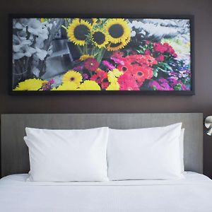 Den King Room